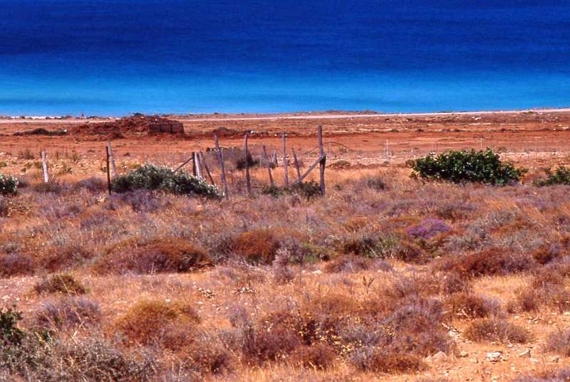 83-Creta (Falàsarna),7 luglio 2004.jpg